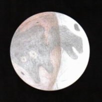 Perry's Lunar Eclipse